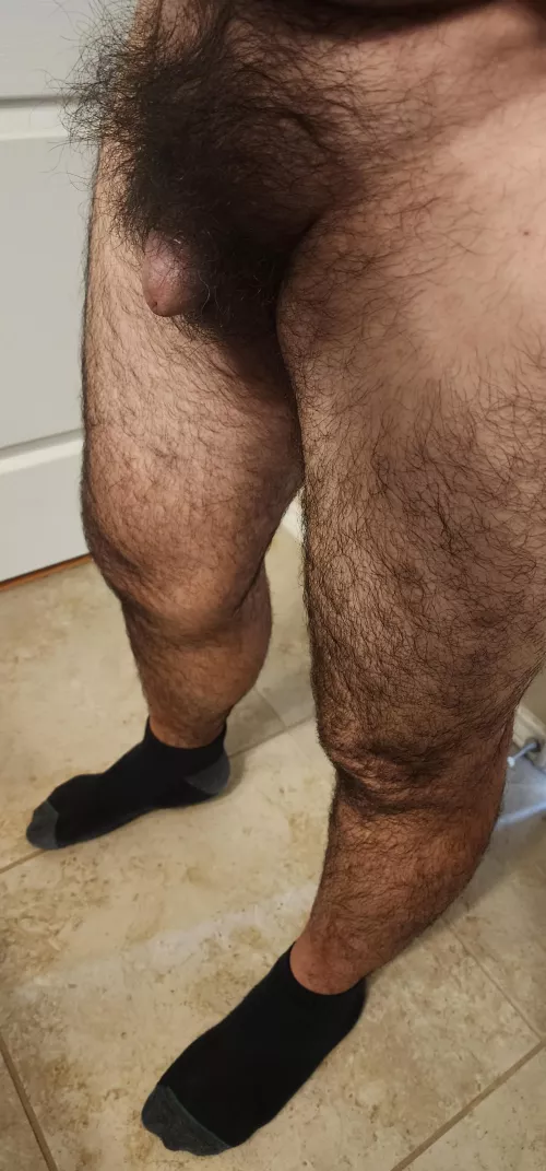 Is my bush too much? Thursday 🌳