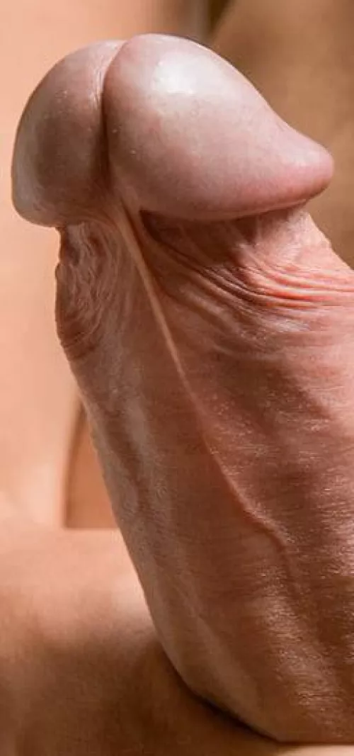 My cock is always ready for some slow teasing cock sucking action