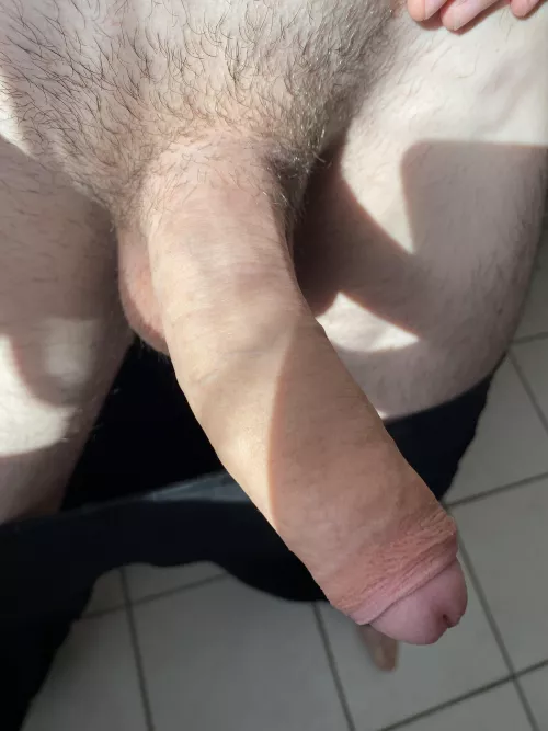 Need blowjob
