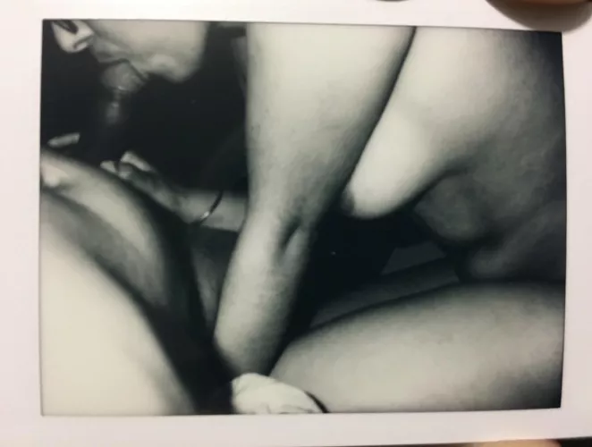 Polaroid from the sheets.