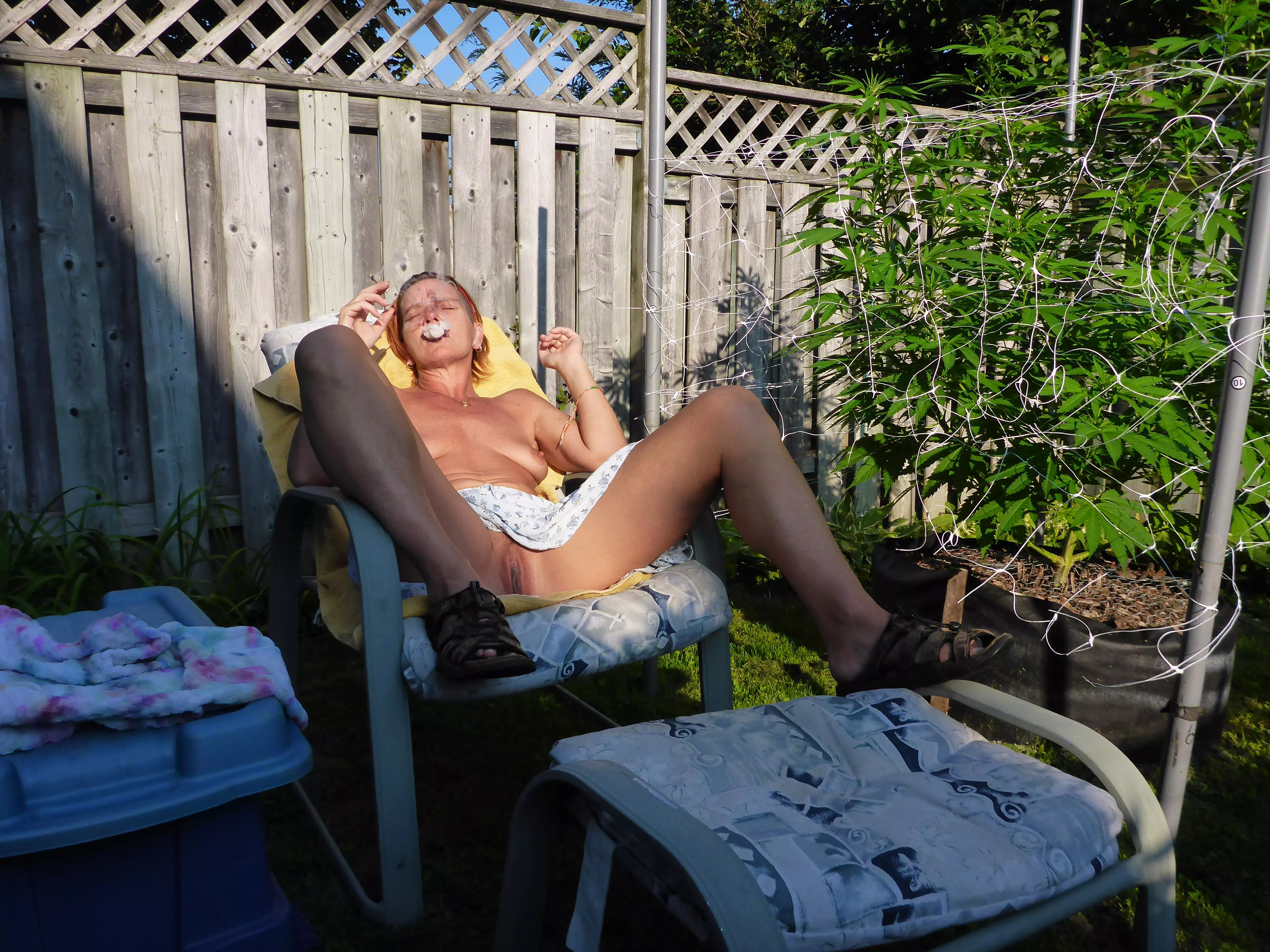 They all have their own distinct [F]ragrance.