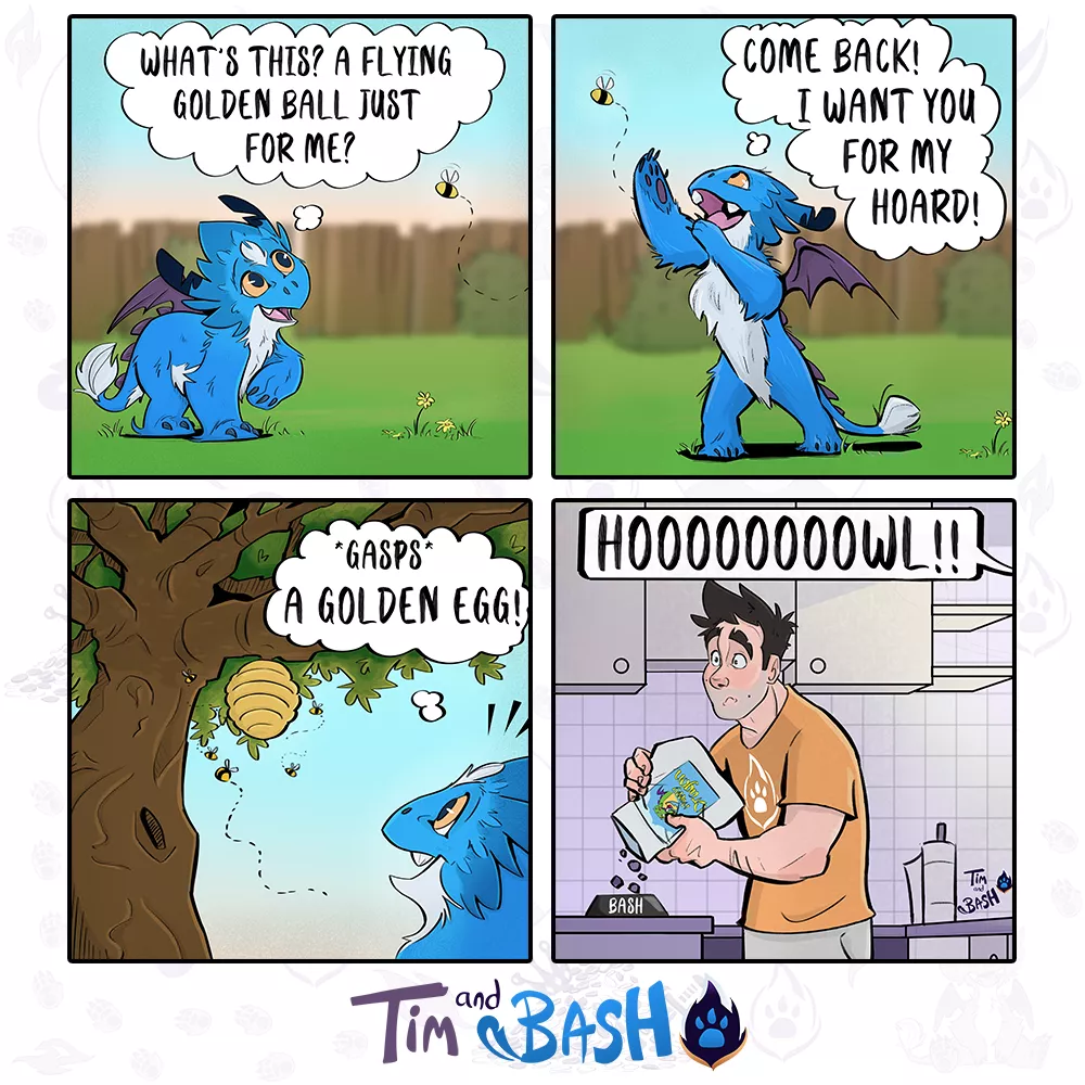 Tim and Bash 🔥The vet saga begins.... 1/5