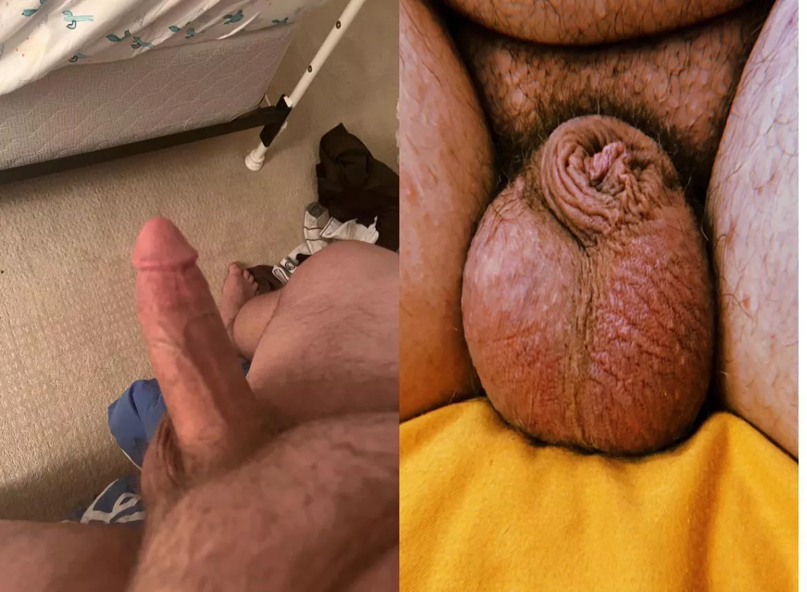 u/rpg_nerd7777 is genuinely pathetic he makes me mad at how tiny he is lol, kinda wanna throw up looking at it