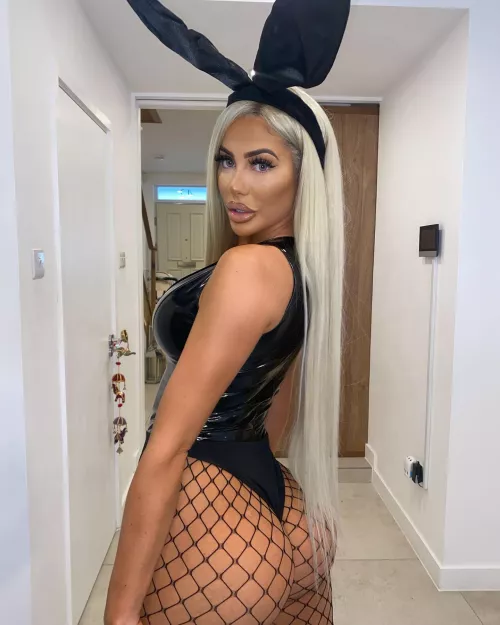 Bimbo Bunny