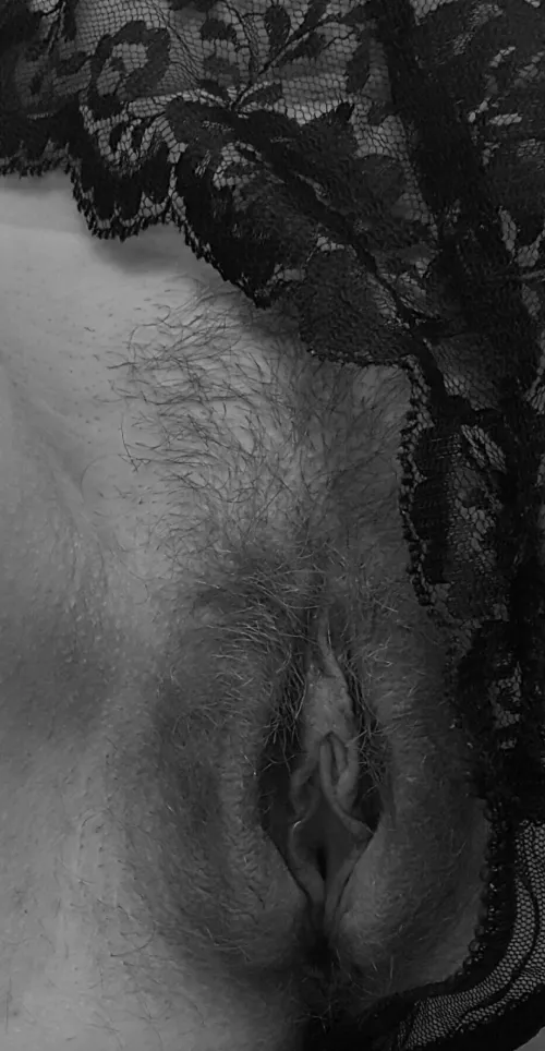 Do you like Black and white pictures of hairy pussy