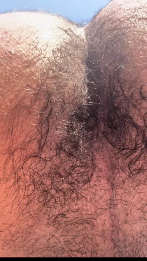 First post here, am I hairy enough?