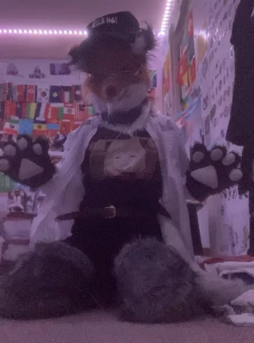 Fursuit Friday BURNING QUESTION: What is your favorite anime?