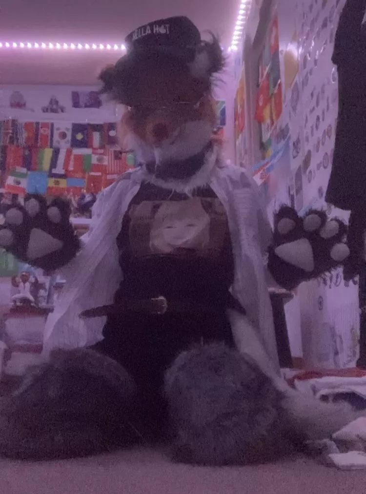 Fursuit Friday BURNING QUESTION: What is your favorite anime?