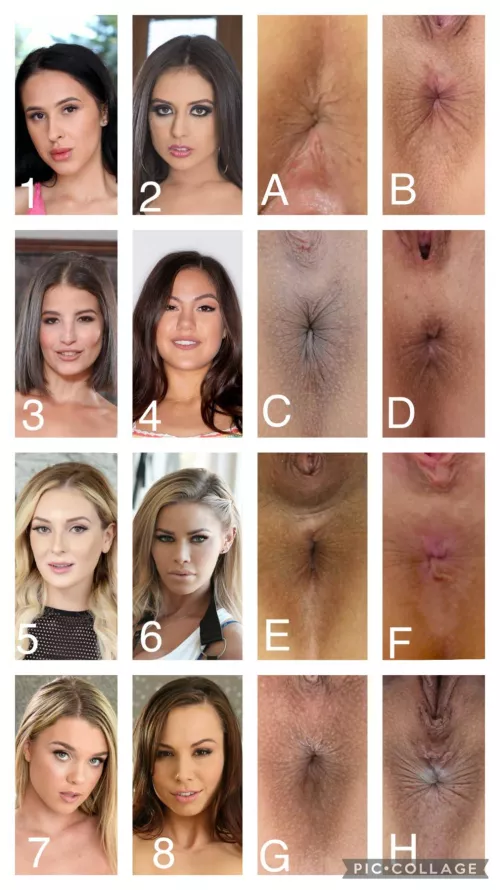 Guess the Asshole Vol. 3