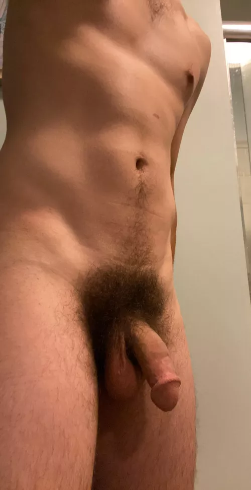 Haven’t trimmed in 9 months… what are y’all’s thoughts on the bush?