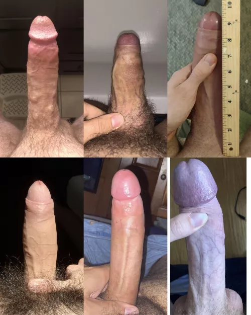 New cock ranking. Rank these six cocks from best to worst in the comment section.