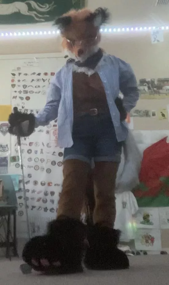 🦊⛳️🏌️‍♂️