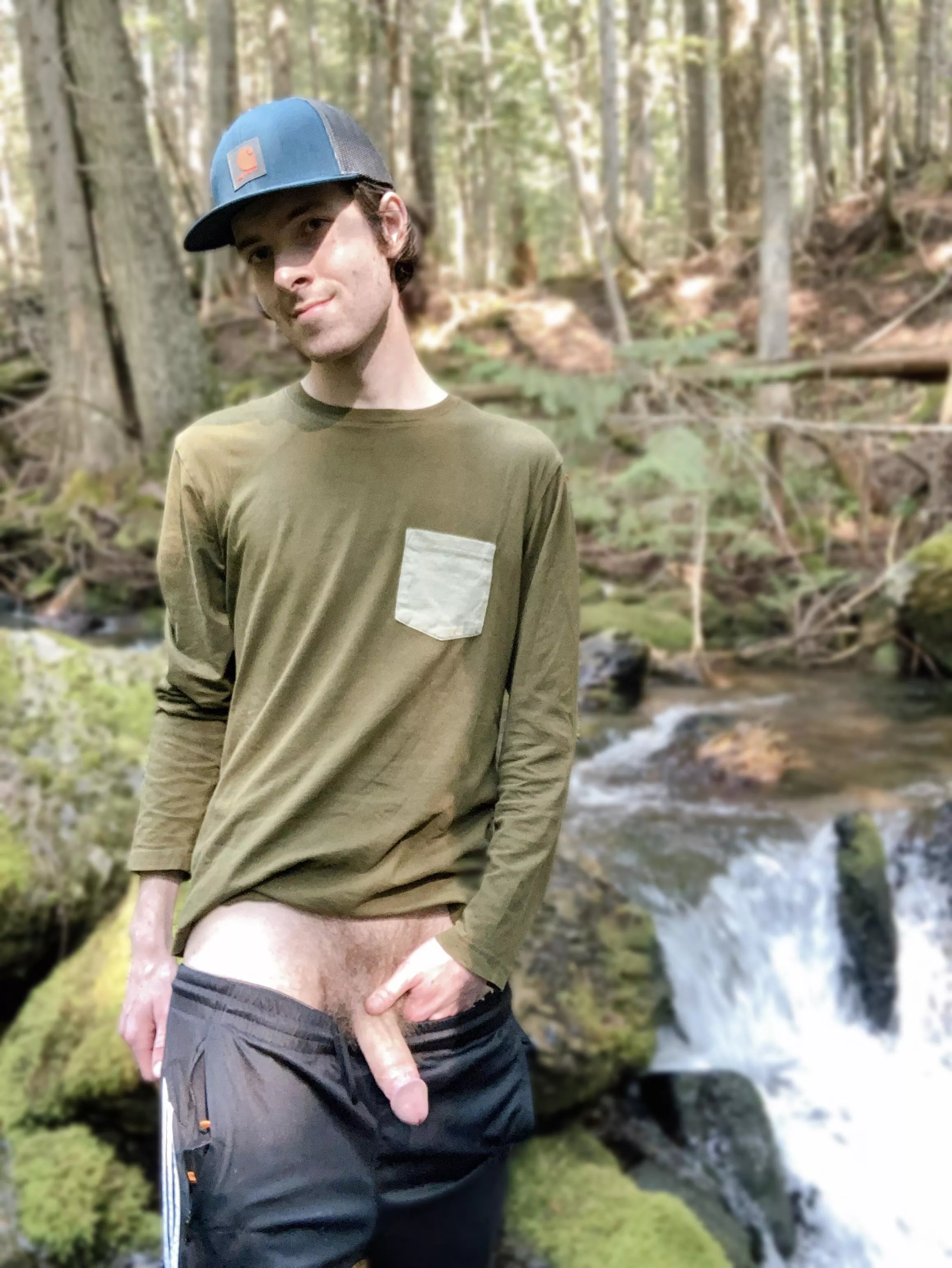 Cock out in the forest.