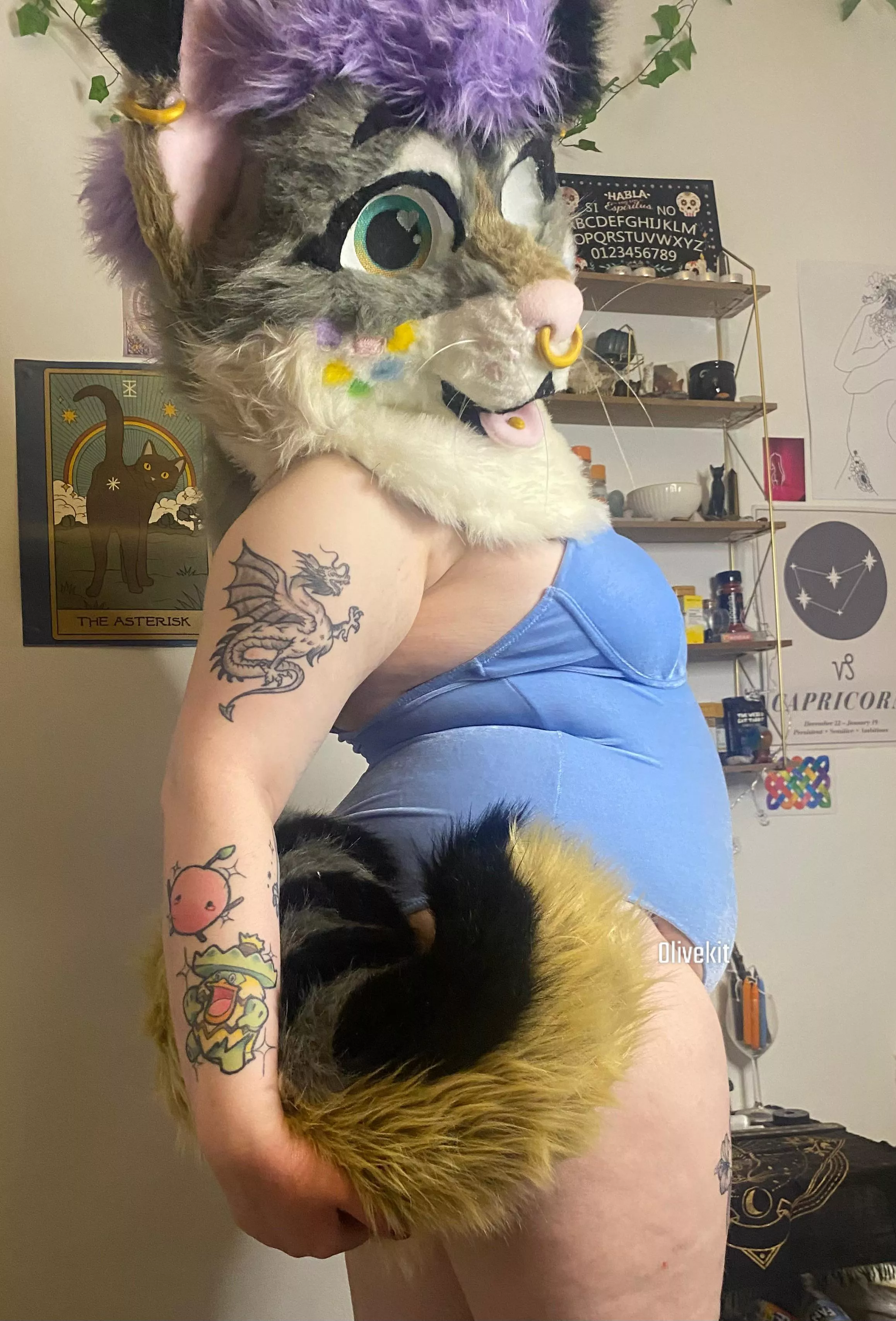 Come tug my tail and play with me