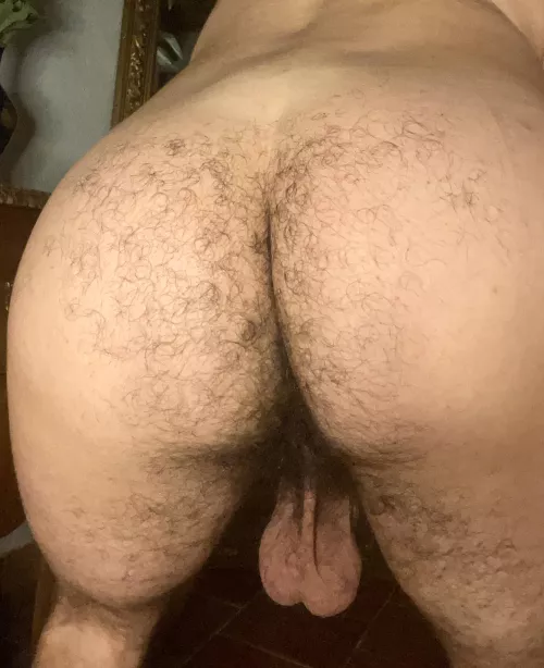 Do you like hairy ass?