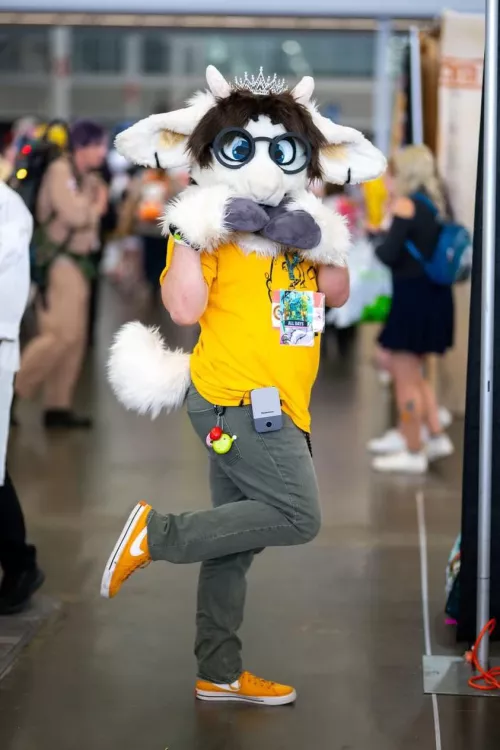 It’s my birthday today!!! Ask me anything!