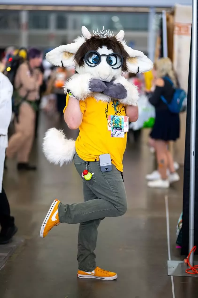 It’s my birthday today!!! Ask me anything!