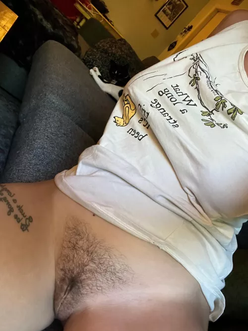 jasper is judging me in the background