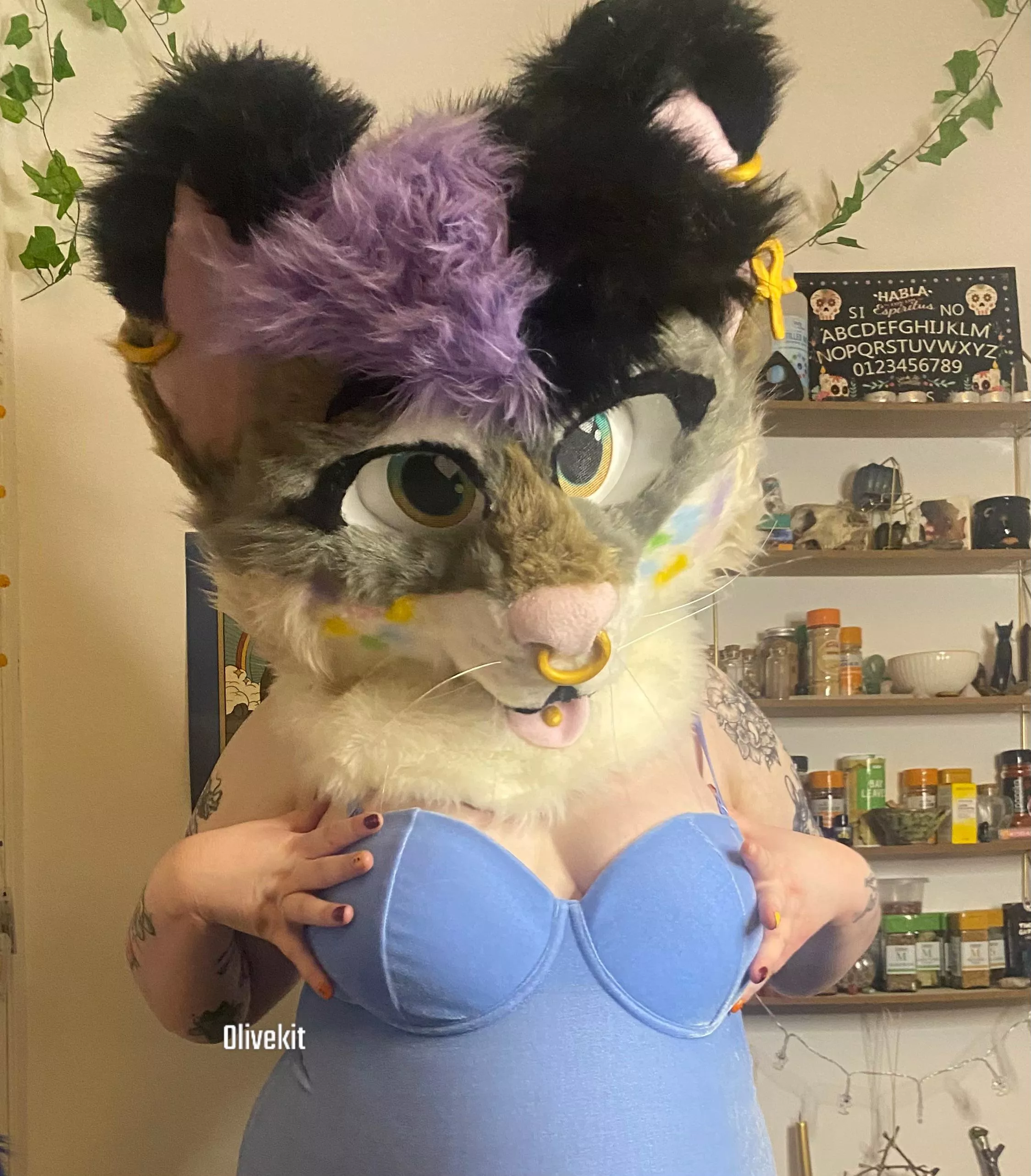 Let me be your obedient lil kitty