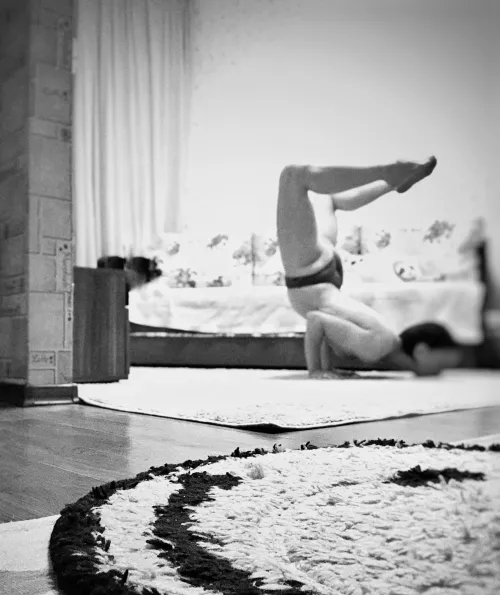 Old Japanese saying: live scorpion in pants makes life interesting