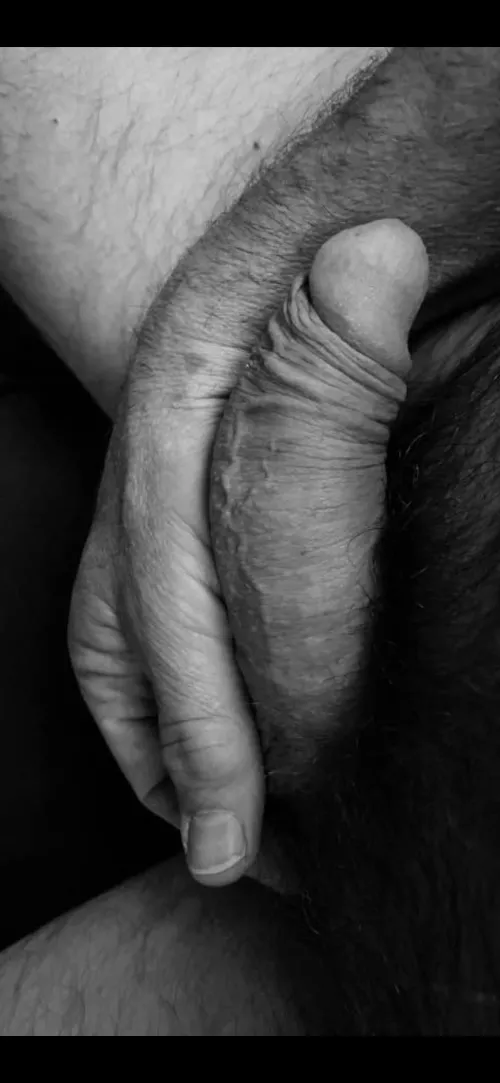 On a lazy Sunday morning…