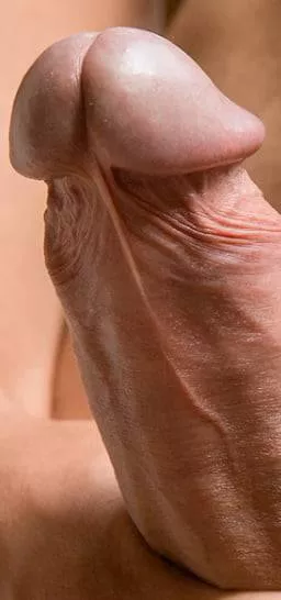 Say “Yes Boss” if you’d let me breed either one of your holes.