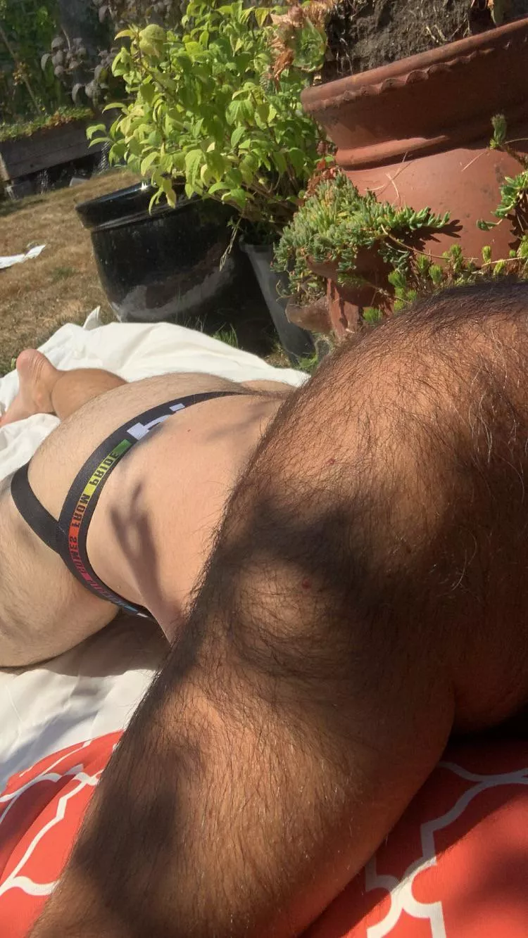 What the neighbours get to see 👀