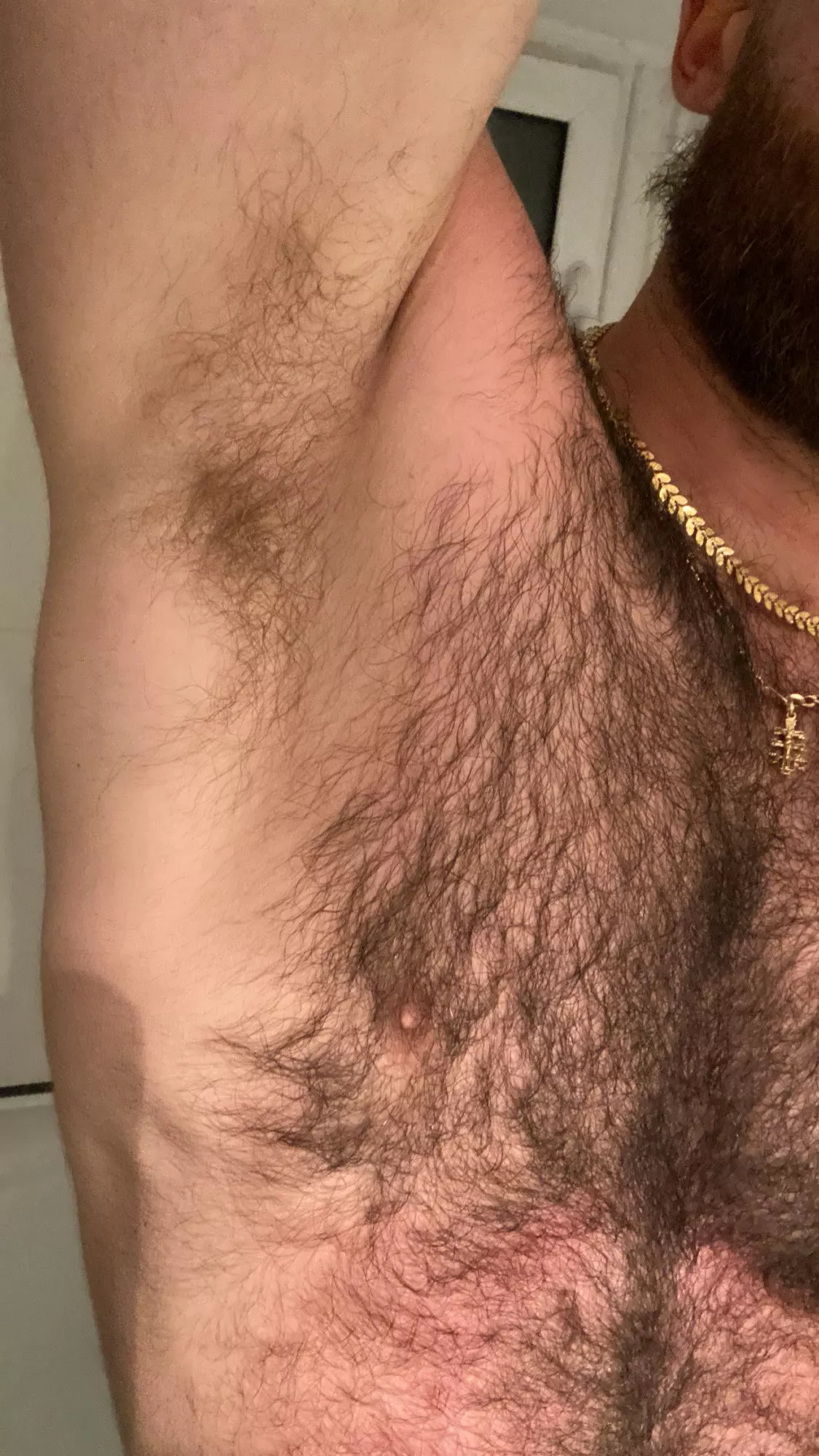 You taking a sniff or am I gonna have to shove your face in here myself?