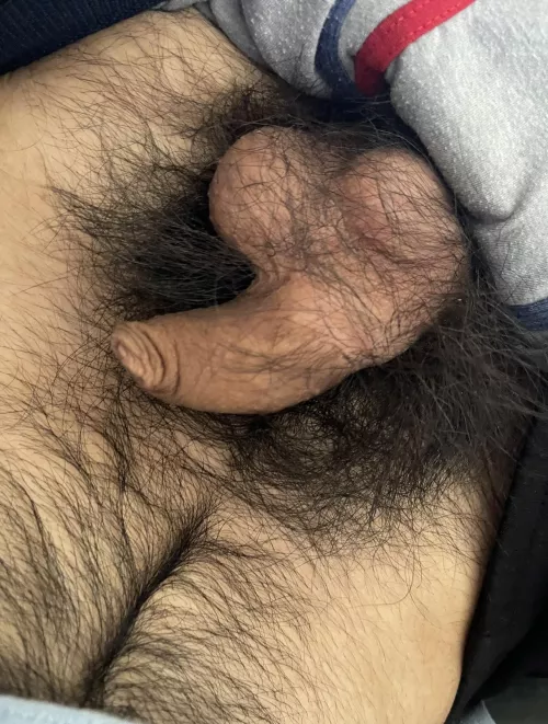 Adding more pubes to the bunch