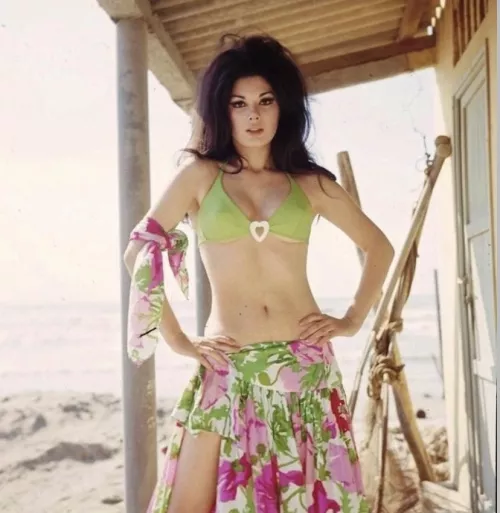 Edwige Fennech (1970s)