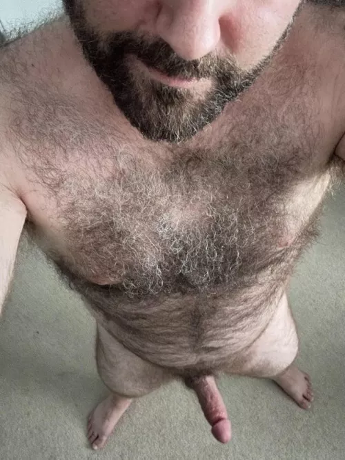 Hairy enough? [41]