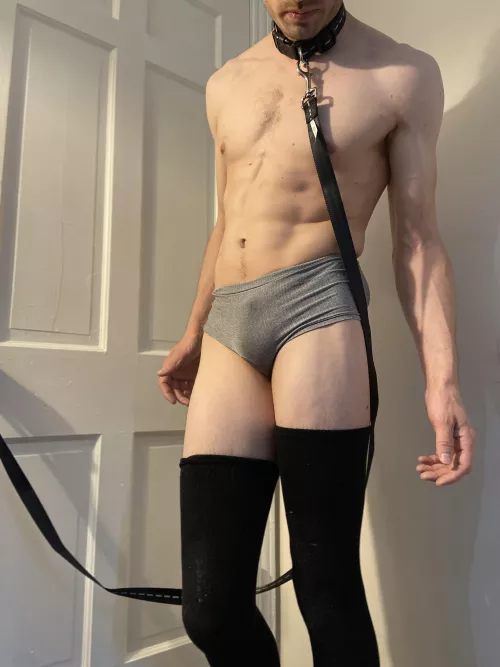 Just a lil pup with new thigh highs