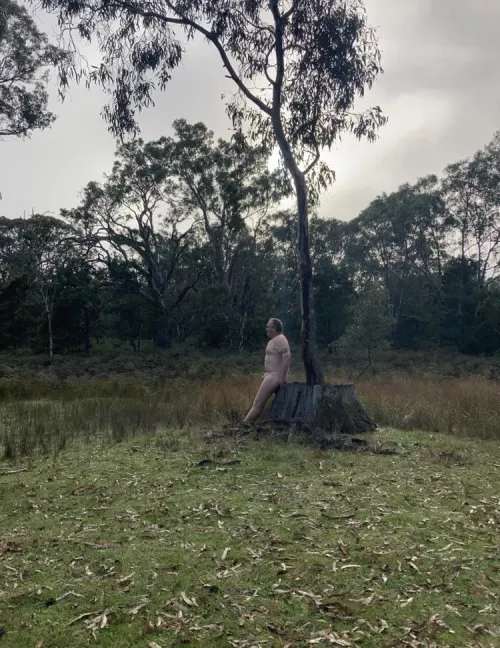 Just sitting down watching the day happen