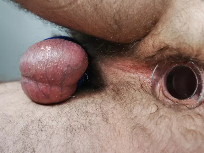 Plugged, caged, balls stretched and of course HAIRY