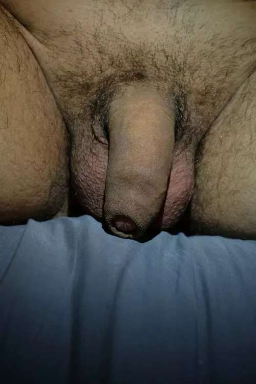 Uncut softie. Thoughts?