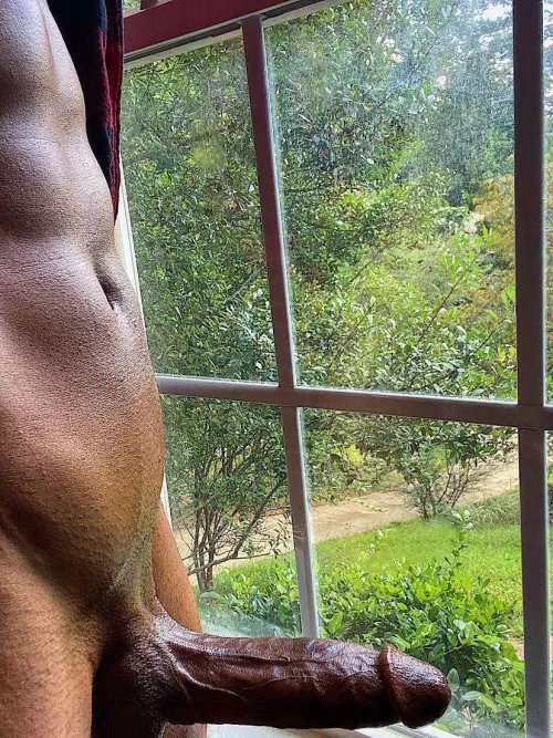 Vegan meat 😛 Rate?