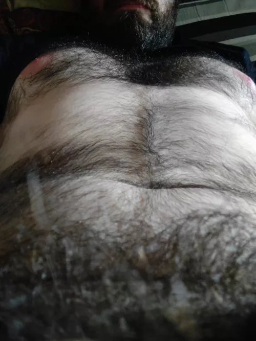 Which is best for exploring through the fur, hands or tongue?