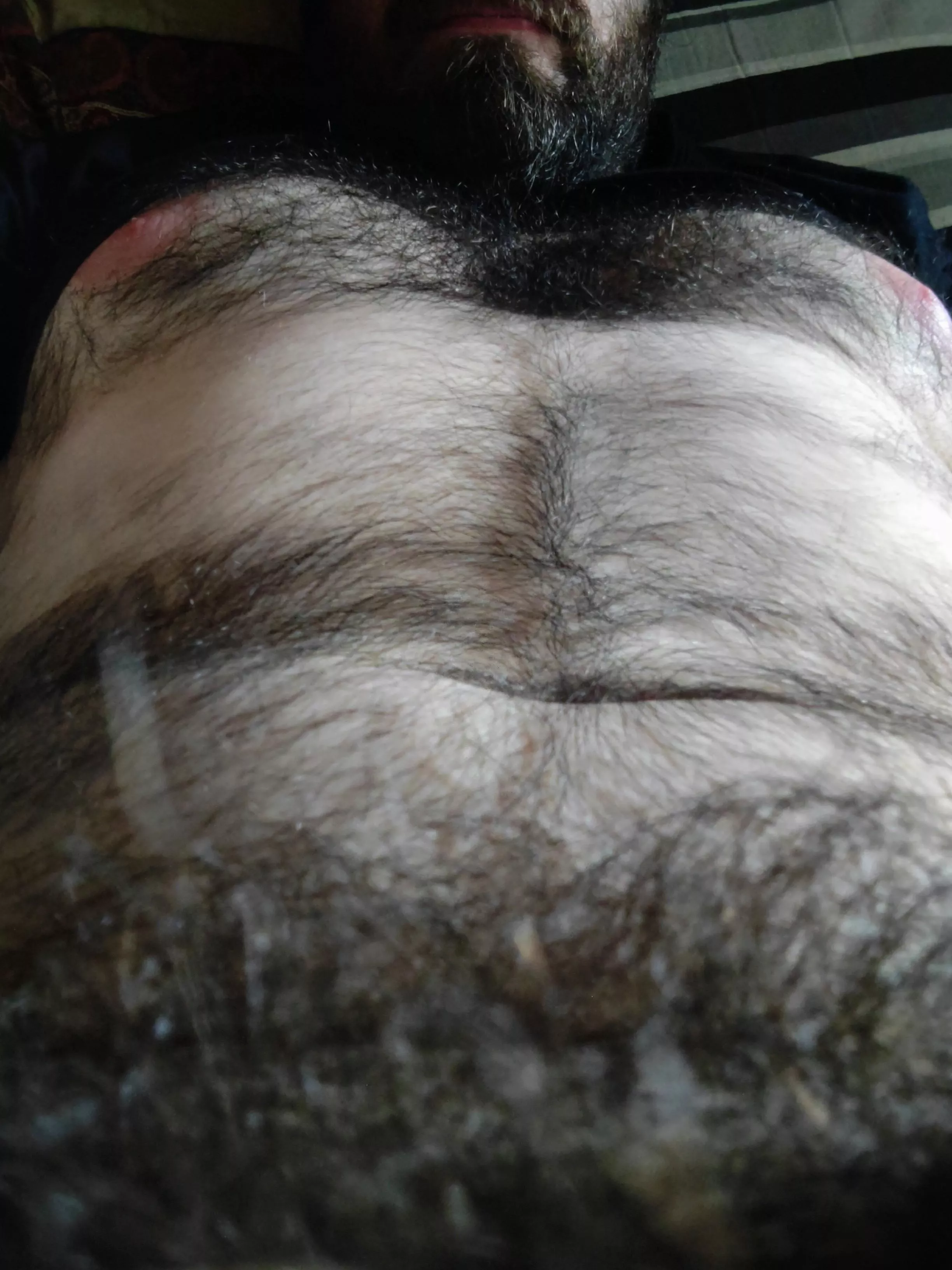 Which is best for exploring through the fur, hands or tongue?