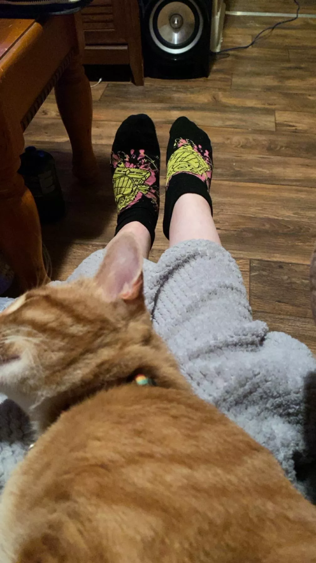 Wouldn’t you wanna be in place of my kitty? Worship and climb the ranks to achieve it. I’m the empress and you’re my servant. OC