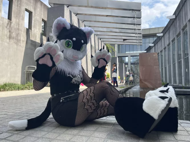 Finished fursuit now for auction