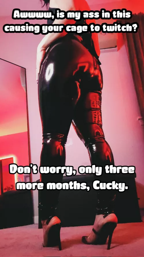 Have fun sitting at home while I wear this on My date tonight cuck.