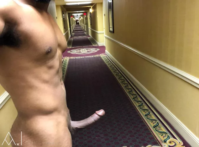 Hotel fare to flash the maid