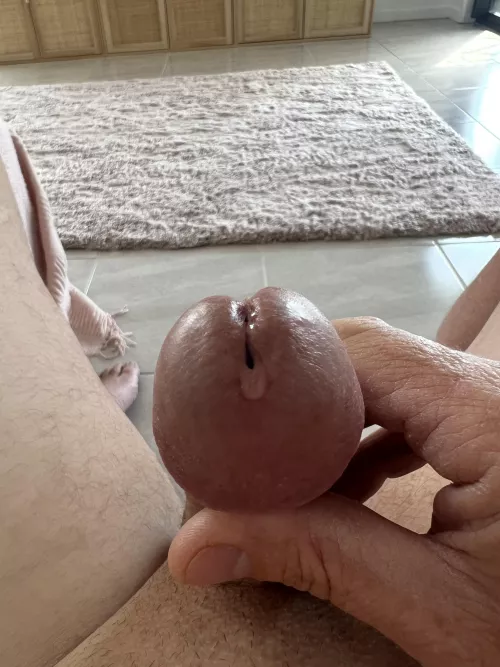 I like licking up my precum