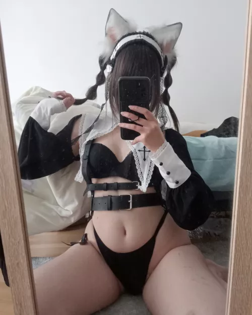 Just a black cat 🖤