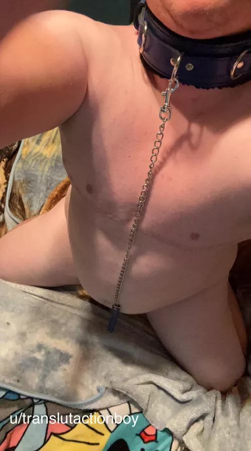 My first post here. Hoping there’s so much for sub trans men.