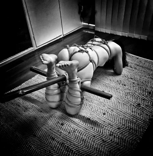 Safe & Bound.