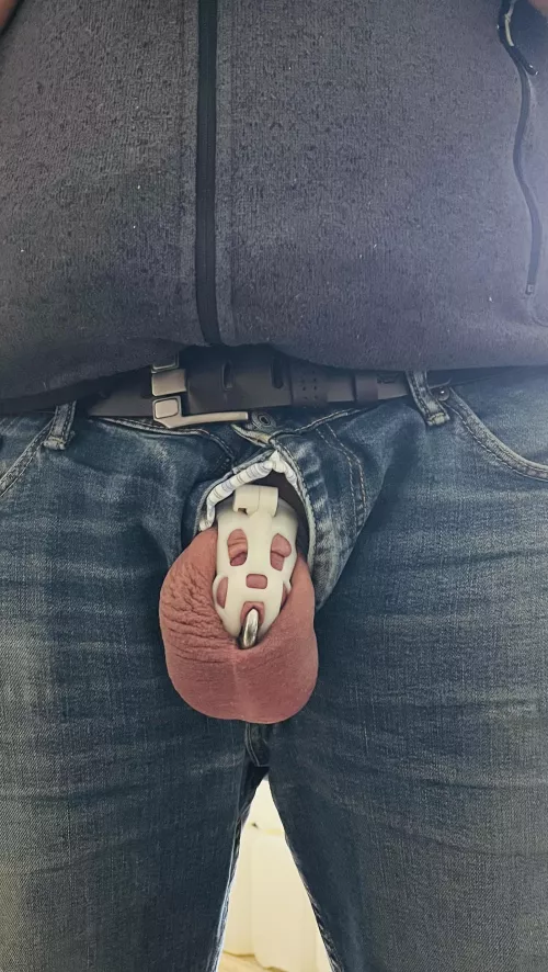 23 of 25 | At work 🤭🐶