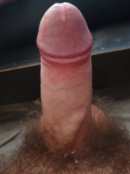 25 [M] precumming virgin cock