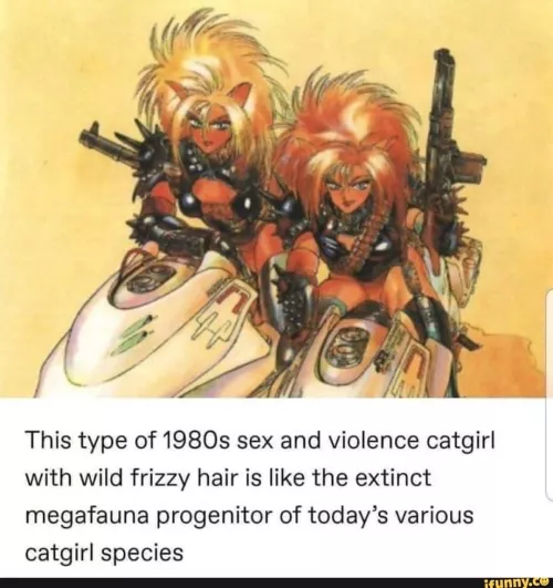 any thoughts on this old cat girl variant?