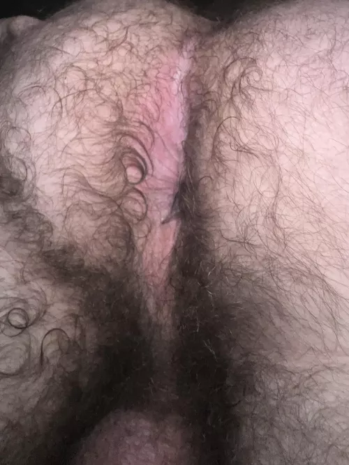 do you like hairy holes?